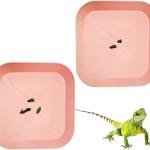 2 Pcs Leopard Gecko Potty P,Crested Gecko Potty Latrine，Leopard Gecko Tray，Reptile Litter Box，Portable Gecko Tank Accessories (Blue)