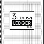 Account Ledger Book 3 Column: Ledger Books for Bookkeeping, Columnar Sheets Ruled Notebook, Business Accounting Ledger Book 3 Column, Account Record Keeping Journal For Small Business