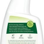 Biokleen Bac-Out Enzyme Stain Remover - 32 Ounce - Natural Foam Spray, Destroys Stains & Odors Safely, for Pet Stains, Laundry, Diapers, Wine, Carpets, Eco-Friendly, Non-Toxic, Plant-Based