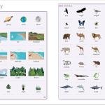 English for Everyone Course Book Level 3 Intermediate: A Complete Self-Study Program
