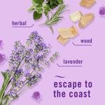 Febreze Plug in Air Fresheners, Mediterranean Lavender, Odor Eliminator for Strong Odors, Scented Oil Refill (3 Count)