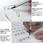 Akashiya Fude Brush Pen Sai Thin Line, Charcoal Gray (TL300-01)
