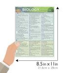 Biology Terminology QuickStudy Laminated Reference Guide (QuickStudy Acemic)