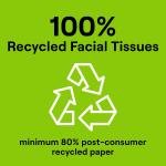 Seventh Generation Facial Tissue, 2-Ply Sheets, 85-Count Boxes (Pack of 36)