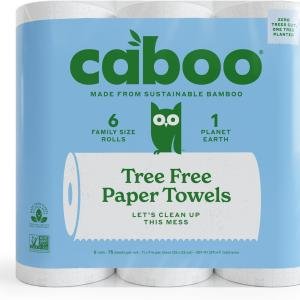 Caboo Tree Free Paper Towels, 6 Rolls, Eco Friendly, Earth Friendly, Sustainable Kitchen Paper Towels with Strong 2 Ply Sheets