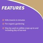 Bonide Insecticidal Soap, 32 oz Rey-to-Use Spray Multi-Purpose Insect Control for Organic Gardening Indoor and Outdoor