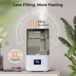 BOXING 6L Warm & Cool Mist Humidifiers for Bedroom, Air Humidfier for Large Room with Remote Control, Auto Mode Perfect for Baby & Plants, Top Fill, Sleep Mode, Timer, Essential Oil Tray, 60H