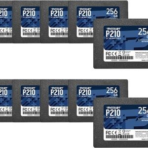 Patriot Memory P210 SATA 3 256GB SSD 2.5 Inch Internal Solid State Drive 10 Pack, Lot of 10 - P210S256G2510