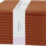 PurpleEssences Rust Set of 12 Cloth Dinner Napkins 100% Cotton 18x18 Inch - Soft Durable Washable - Ideal for Farmhouse Party Fall Thanksgiving - Perfect Everyday Use Table Linen - Rust