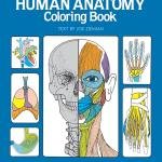 Human Anatomy Coloring Book: an Entertaining and Instructive Guide to the Human Body - Bones, Muscles, Blood, Nerves and How They Work (Coloring Books)