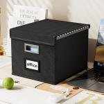 Huolewa File Organizer Box with Lid, Collapsible File Folder Organizer for Office Document Storage, Filing Box with Plastic Slide for Letter Size Hanging File Folders(1 Pack, Black)