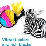 HP 910XL Black High-Yield Ink Cartridge | Works with OfficeJet 8010, 8020 Series, OfficeJet Pro 8020, 8030 Series | Eligible for Instant Ink | 3YL65AN
