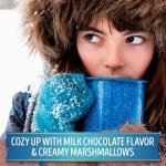 Swiss Miss Chocolate Hot Cocoa Mix With Marshmallows, Hot Cocoa Bar Supplies, 1.38 oz., 30-Count Envelopes